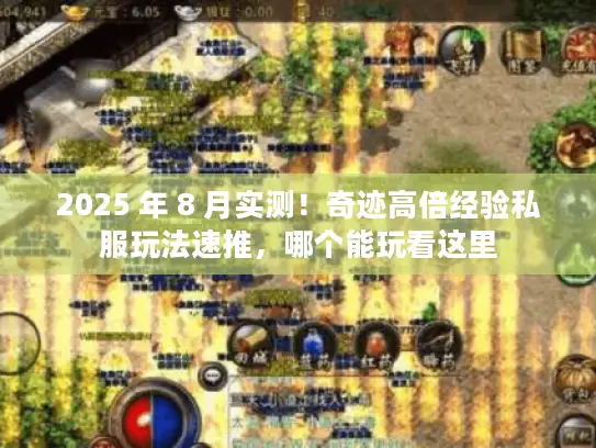 2025 年 8 月实测！奇迹高倍经验私服玩法速推，哪个能玩看这里