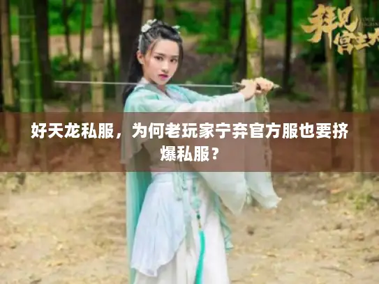 好天龙私服，为何老玩家宁弃官方服也要挤爆私服？