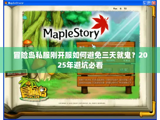 冒险岛私服刚开服如何避免三天就鬼？2025年避坑必看