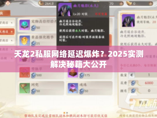天龙2私服网络延迟爆炸？2025实测解决秘籍大公开