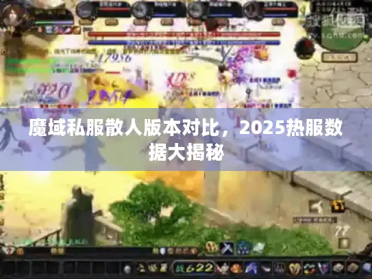 魔域私服散人版本对比，2025热服数据大揭秘