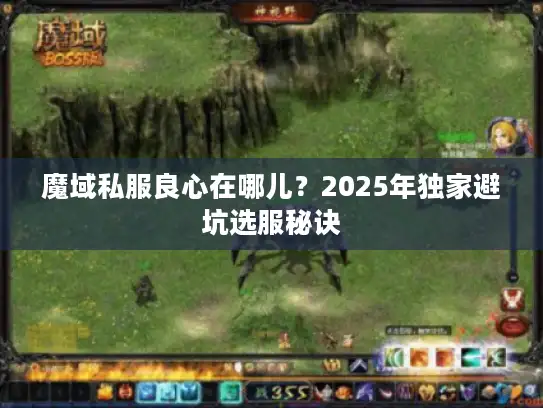 魔域私服良心在哪儿?2025年独家避坑选服秘诀 魔域私服良心在哪儿?2025年独家避坑选服秘诀