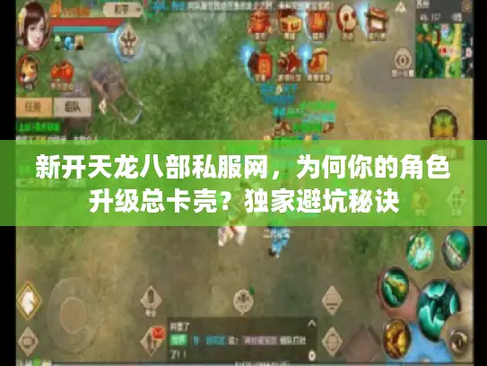 新开天龙八部私服网，为何你的角色升级总卡壳？独家避坑秘诀