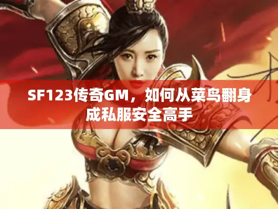 SF123传奇GM，如何从菜鸟翻身成私服安全高手