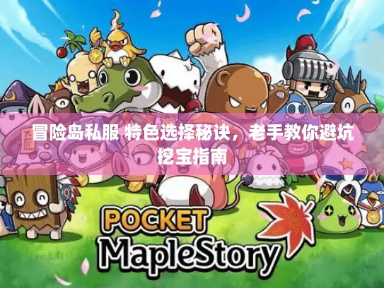 冒险岛私服 特色选择秘诀，老手教你避坑挖宝指南