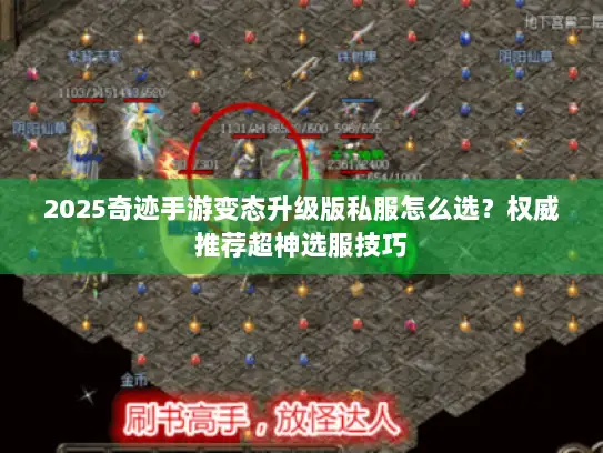 2025奇迹手游变态升级版私服怎么选？权威推荐超神选服技巧