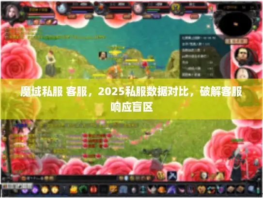 魔域私服 客服，2025私服数据对比，破解客服响应盲区