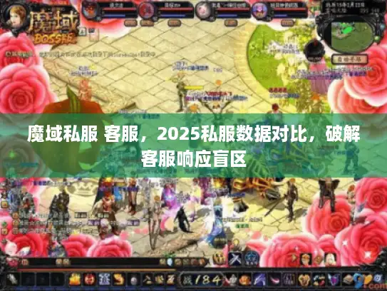 魔域私服 客服，2025私服数据对比，破解客服响应盲区