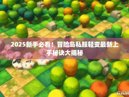 2025新手必看！冒险岛私服轻变最新上手秘诀大揭秘