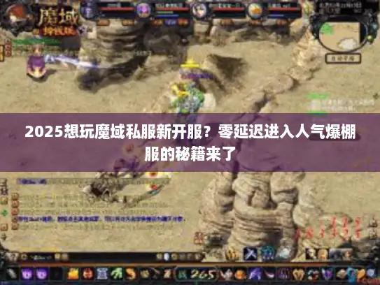 2025想玩魔域私服新开服？零延迟进入人气爆棚服的秘籍来了