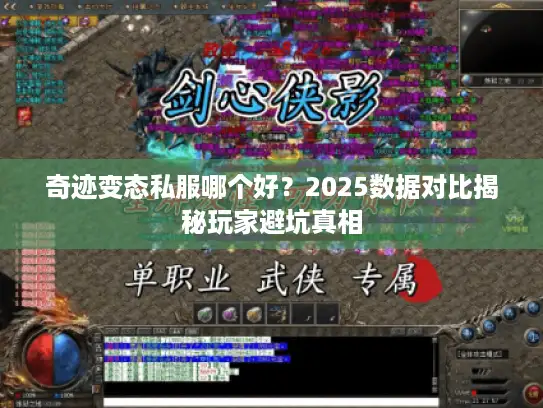 奇迹变态私服哪个好？2025数据对比揭秘玩家避坑真相