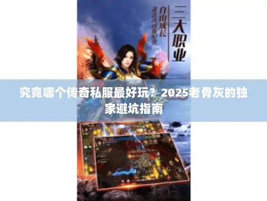 究竟哪个传奇私服最好玩？2025老骨灰的独家避坑指南