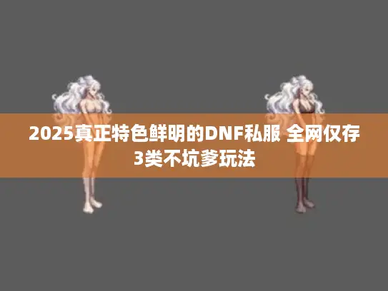 2025真正特色鲜明的DNF私服 全网仅存3类不坑爹玩法