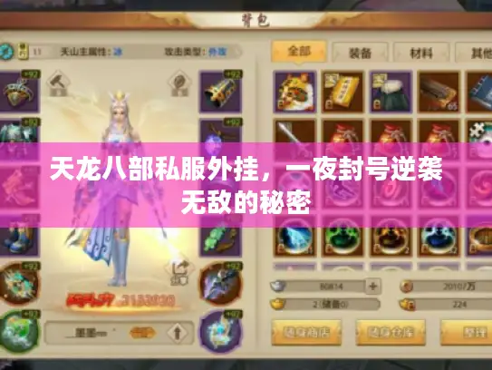 天龙八部私服外挂，一夜封号逆袭无敌的秘密