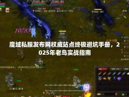魔域私服发布网权威站点终极避坑手册，2025年老鸟实战指南