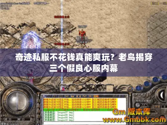 奇迹私服不花钱真能爽玩？老鸟揭穿三个假良心服内幕