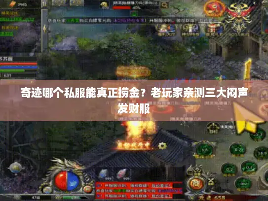 奇迹哪个私服能真正捞金？老玩家亲测三大闷声发财服