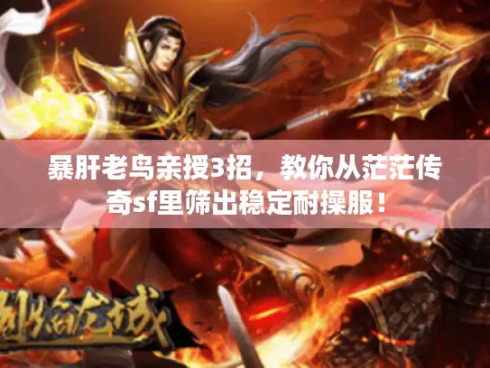 暴肝老鸟亲授3招,教你从茫茫传奇sf里筛出稳定耐操服! 暴肝老鸟亲授3招,教你从茫茫传奇sf里筛出稳定耐操服!