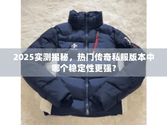 2025实测揭秘，热门传奇私服版本中哪个稳定性更强？