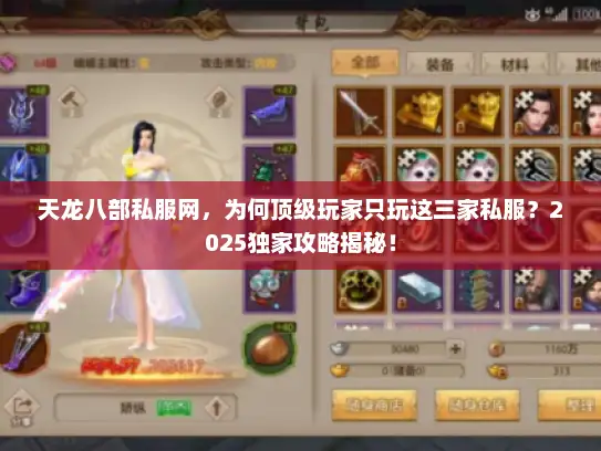 天龙八部私服网，为何顶级玩家只玩这三家私服？2025独家攻略揭秘！