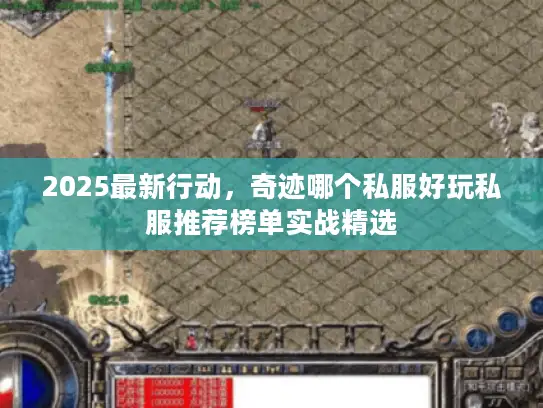 2025最新行动，奇迹哪个私服好玩私服推荐榜单实战精选