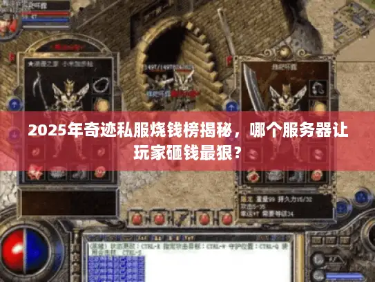 2025年奇迹私服烧钱榜揭秘，哪个服务器让玩家砸钱最狠？