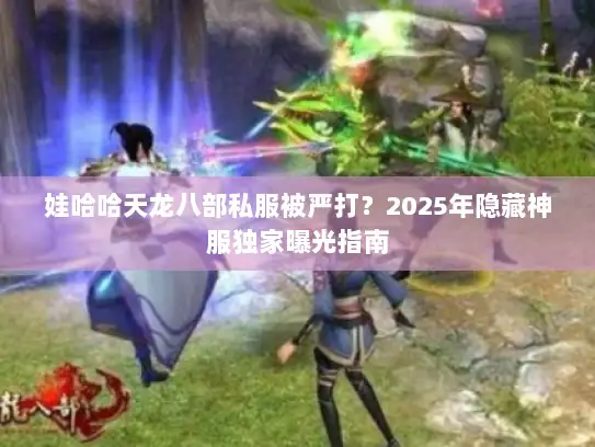 娃哈哈天龙八部私服被严打？2025年隐藏神服独家曝光指南