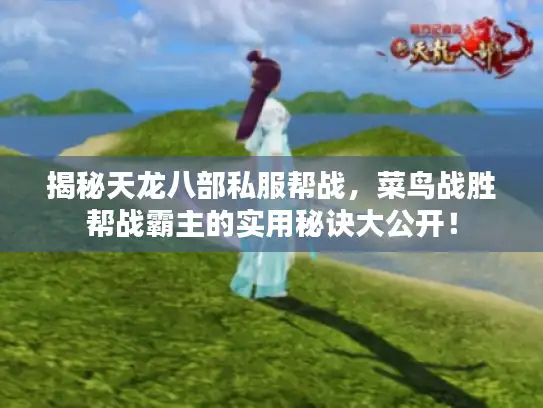 揭秘天龙八部私服帮战，菜鸟战胜帮战霸主的实用秘诀大公开！