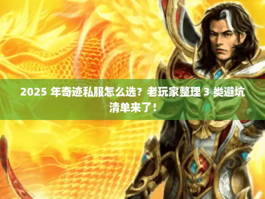 2025 年奇迹私服怎么选？老玩家整理 3 类避坑清单来了！
