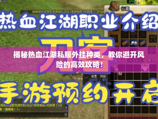揭秘热血江湖私服外挂种类，教你避开风险的高效攻略！