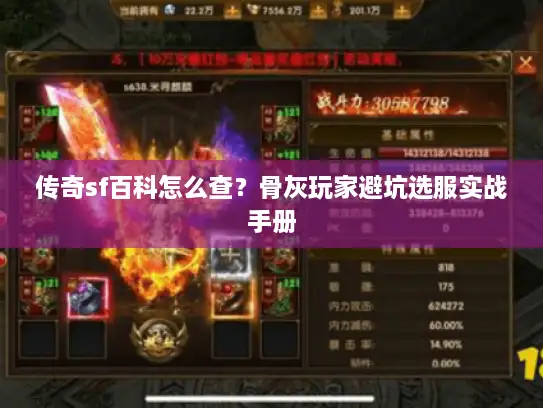 传奇sf百科怎么查？骨灰玩家避坑选服实战手册