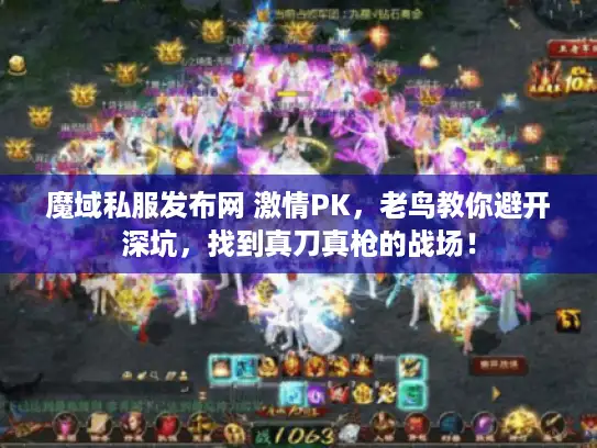魔域私服发布网 激情PK，老鸟教你避开深坑，找到真刀真枪的战场！