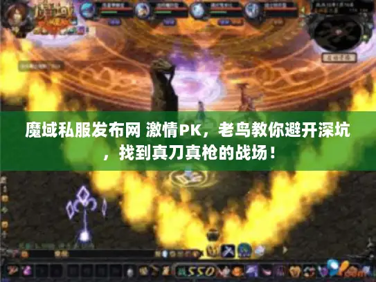 魔域私服发布网 激情PK，老鸟教你避开深坑，找到真刀真枪的战场！