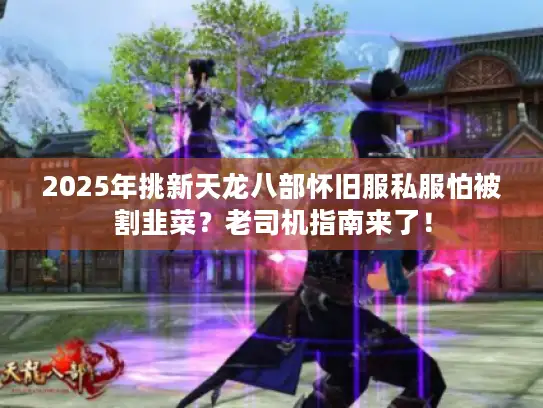 2025年挑新天龙八部怀旧服私服怕被割韭菜？老司机指南来了！