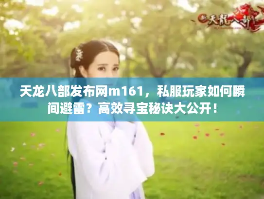 天龙八部发布网m161，私服玩家如何瞬间避雷？高效寻宝秘诀大公开！