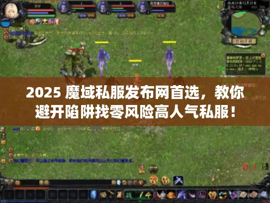 2025 魔域私服发布网首选，教你避开陷阱找零风险高人气私服！