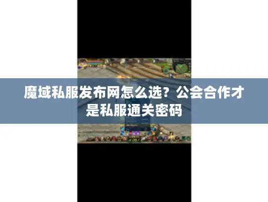 魔域私服发布网怎么选？公会合作才是私服通关密码