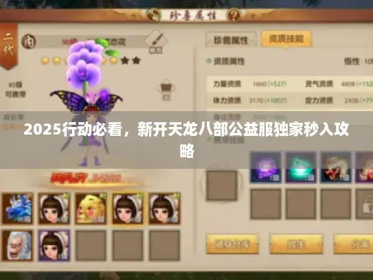 2025行动必看，新开天龙八部公益服独家秒入攻略