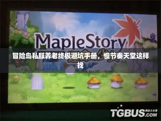 冒险岛私服养老终极避坑手册，慢节奏天堂这样找