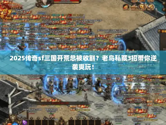 2025传奇sf三国开荒总被收割？老鸟私藏3招带你逆袭爽玩！