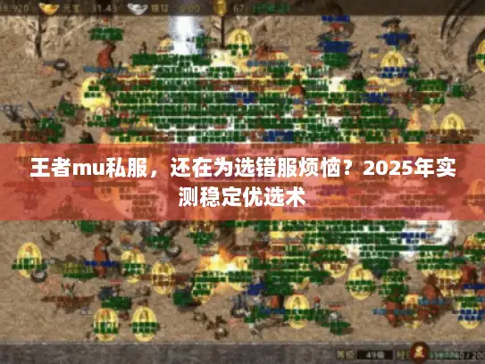 王者mu私服，还在为选错服烦恼？2025年实测稳定优选术
