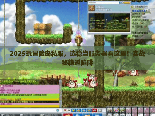 2025玩冒险岛私服，选稳当服务器看这里！实战秘籍避陷阱