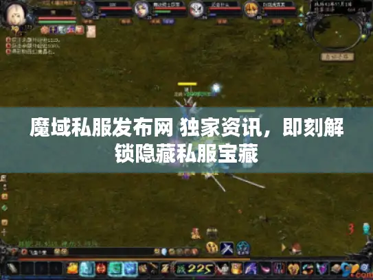 魔域私服发布网 独家资讯，即刻解锁隐藏私服宝藏