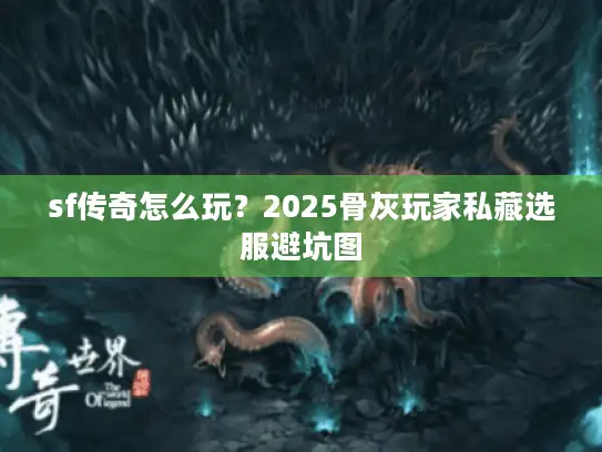 sf传奇怎么玩?2025骨灰玩家私藏选服避坑图 sf传奇怎么玩?2025骨灰玩家私藏选服避坑图