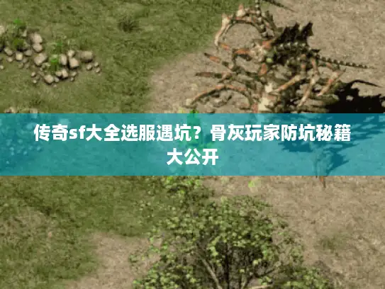 传奇sf大全选服遇坑？骨灰玩家防坑秘籍大公开