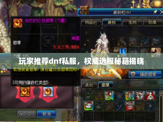玩家推荐dnf私服，权威选服秘籍揭晓