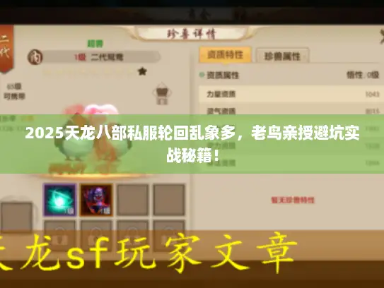 2025天龙八部私服轮回乱象多，老鸟亲授避坑实战秘籍！