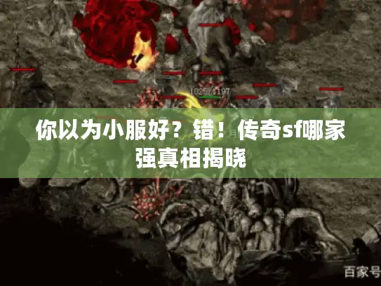 你以为小服好?错!传奇sf哪家强真相揭晓 你以为小服好?错!传奇sf哪家强真相揭晓
