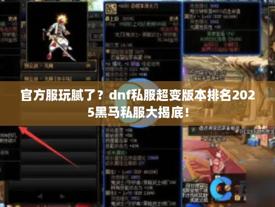 官方服玩腻了？dnf私服超变版本排名2025黑马私服大揭底！