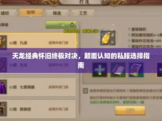 天龙经典怀旧终极对决,颠覆认知的私服选择指南 天龙经典怀旧终极对决,颠覆认知的私服选择指南